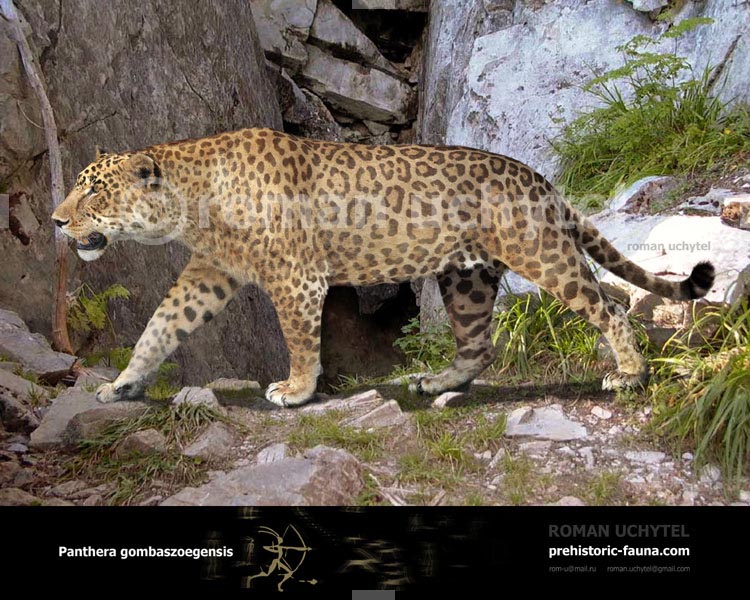 Panthera gombaszoegensis