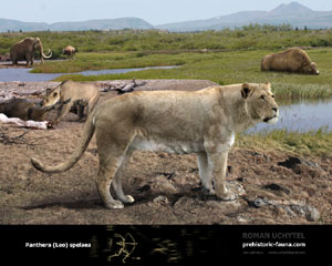 Panthera-Leo-spelaea