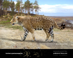 Panthera gombaszoegensis